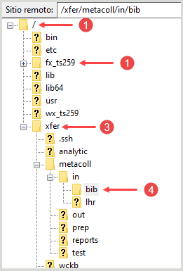 Cambiar directorios en Filezilla